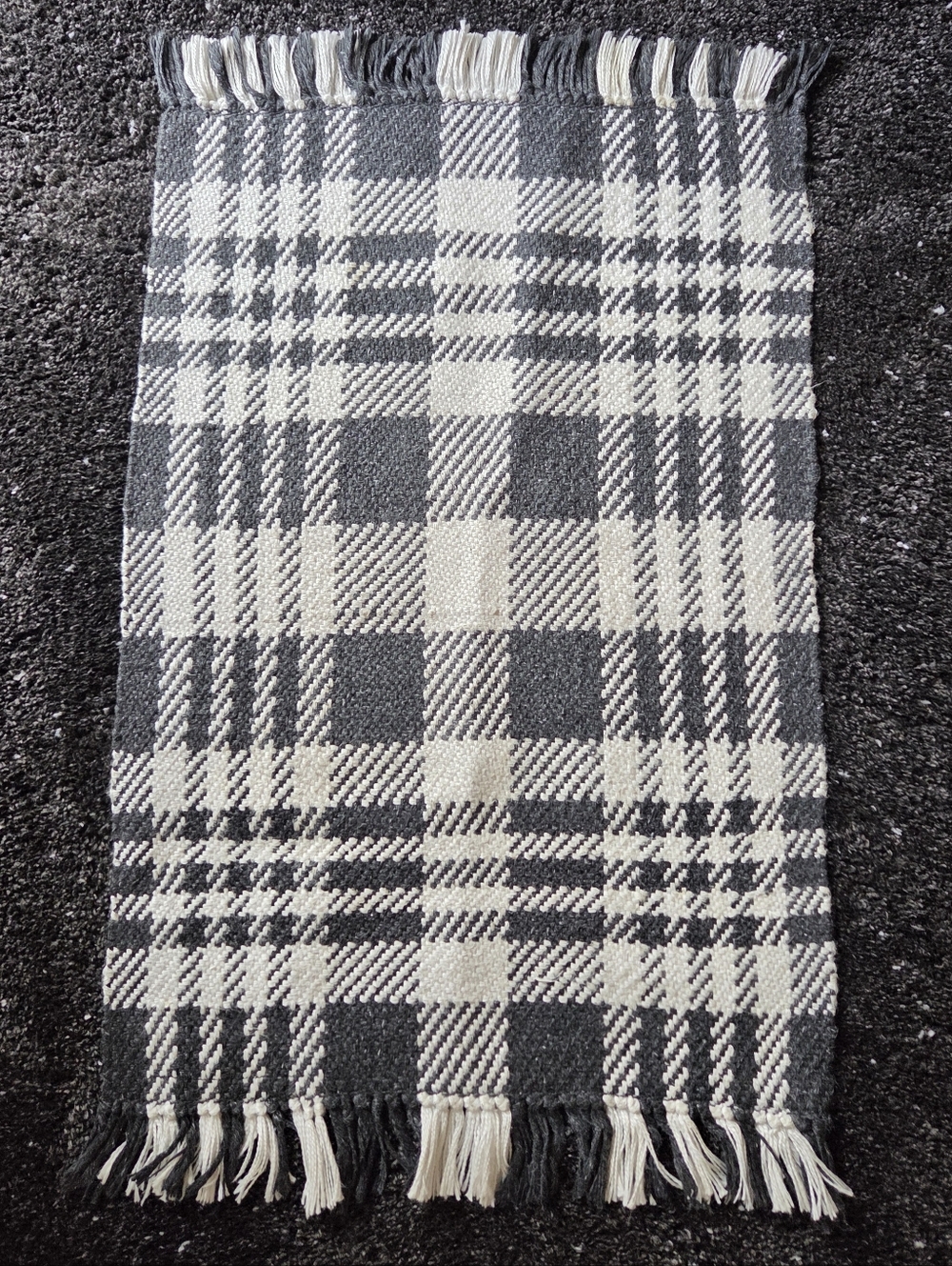 Studio McGee Threshold 25 x 38 Indoor/Outdoor Scatter Plaid Accent Rug